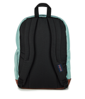 Cool Student Faded Sage - ver - 4