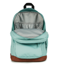 Cool Student Faded Sage - ver - 7