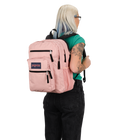 Big Student Misty Rose - ver - 2