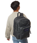 Big Student Smokey Grit - ver - 2