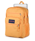 Big Student Orange Soda - ver - 6