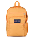 Big Student Orange Soda - ver - 1