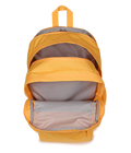 Big Student Orange Soda - ver - 7
