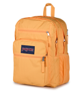 Big Student Orange Soda - ver - 3
