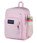 Big Student Pink Ice - ver - 5