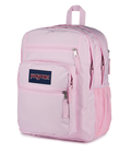 Big Student Pink Ice - ver - 3