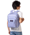 Big Student Lavender Ash - ver - 2