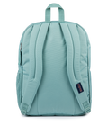 Big Student Faded Sage - ver - 4