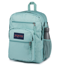 Big Student Faded Sage - ver - 5