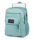 Big Student Faded Sage - ver - 6