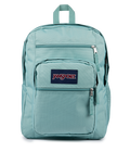 Big Student Faded Sage - ver - 1