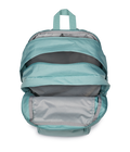 Big Student Faded Sage - ver - 7
