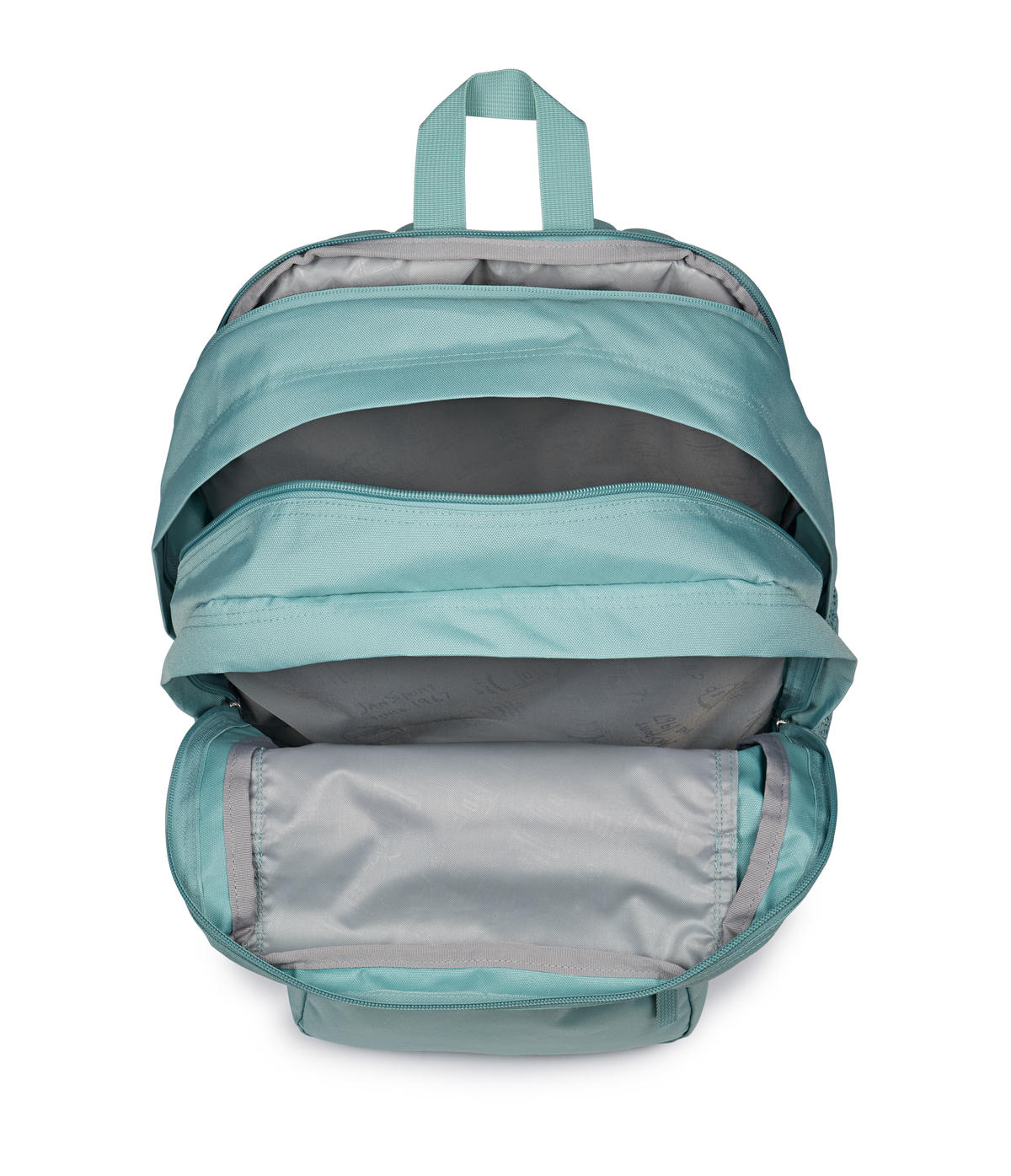 Big Student Faded Sage - ver - 7