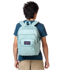 Big Student Faded Sage - ver - 2