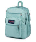 Big Student Faded Sage - ver - 3